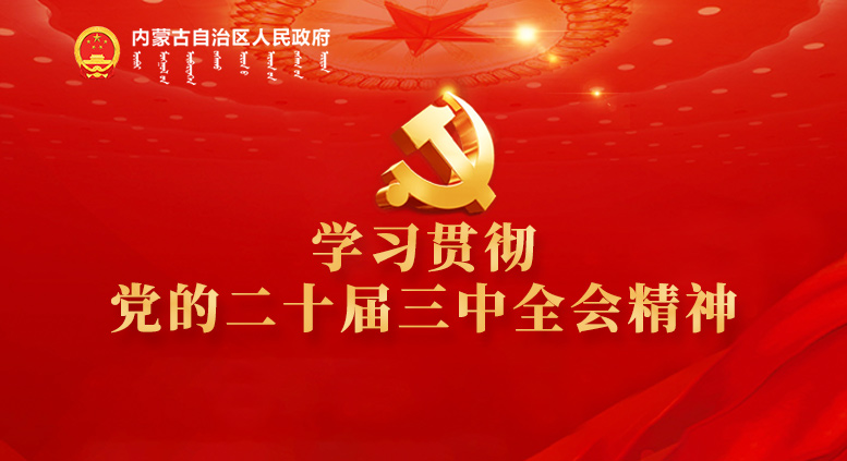 学习贯彻党的二十届三中全会精神