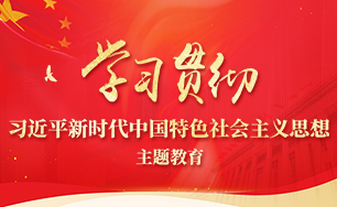 学习贯彻习近平新时代中国特色社会主义思想主题教育